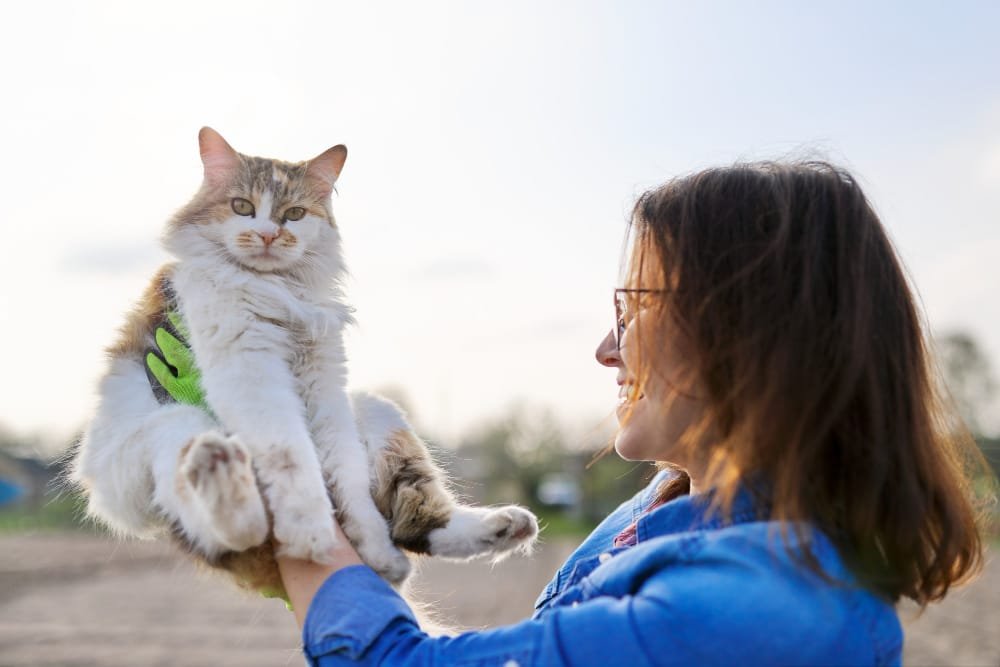 Healthy cat breeds