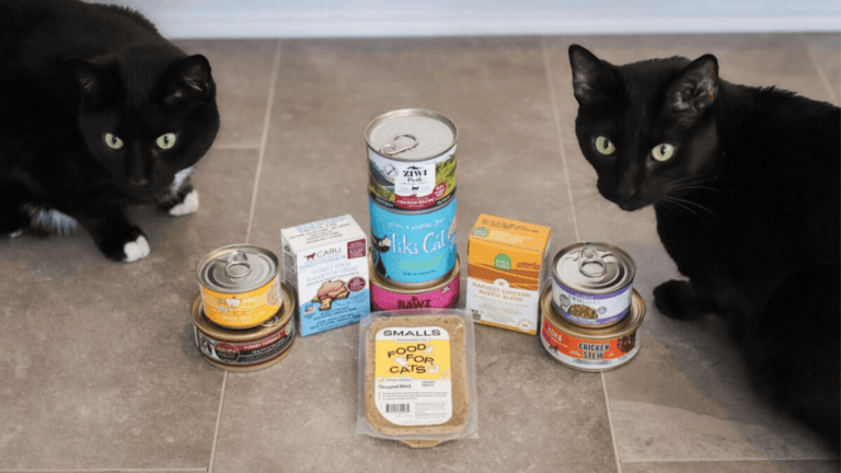 Best Wet Cat Food