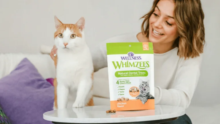 Cat Dental Treats: Best Options for Oral Health 97 Cat Dental Treats