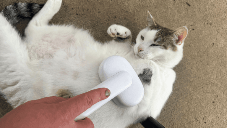 Cat Fur Brush