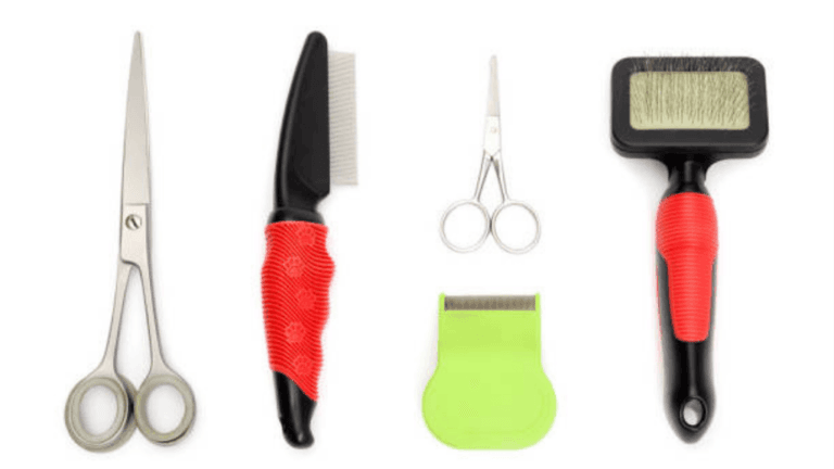 Cat Grooming Tools