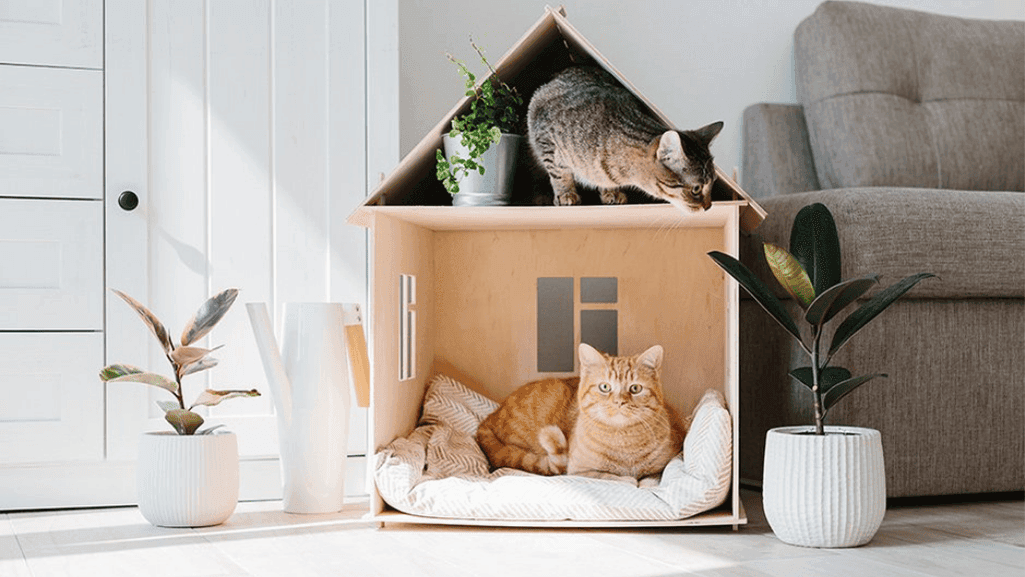 cat-friendly furniture ideas