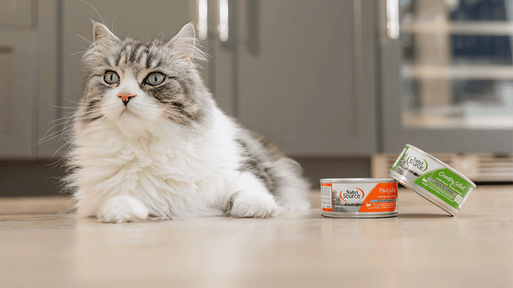 natural cat food for sensitive digestion