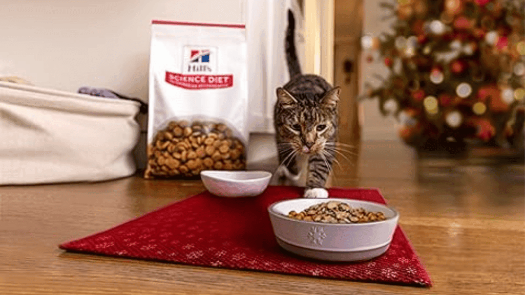 sensitive skin cat food