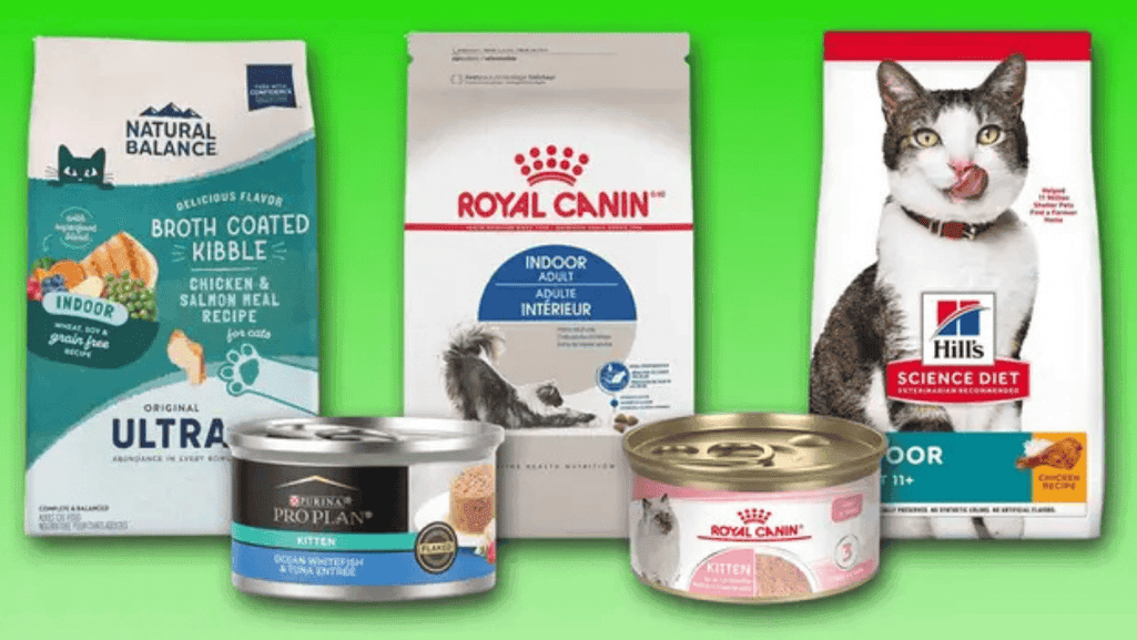 wet cat food for indoor cats and Best Wet Cat Food